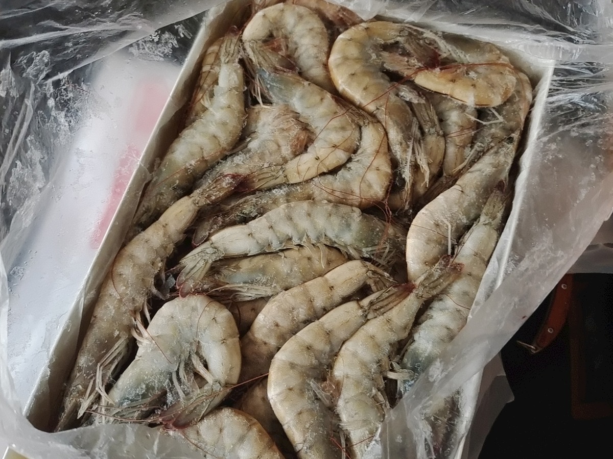 王牌虾产品实拍